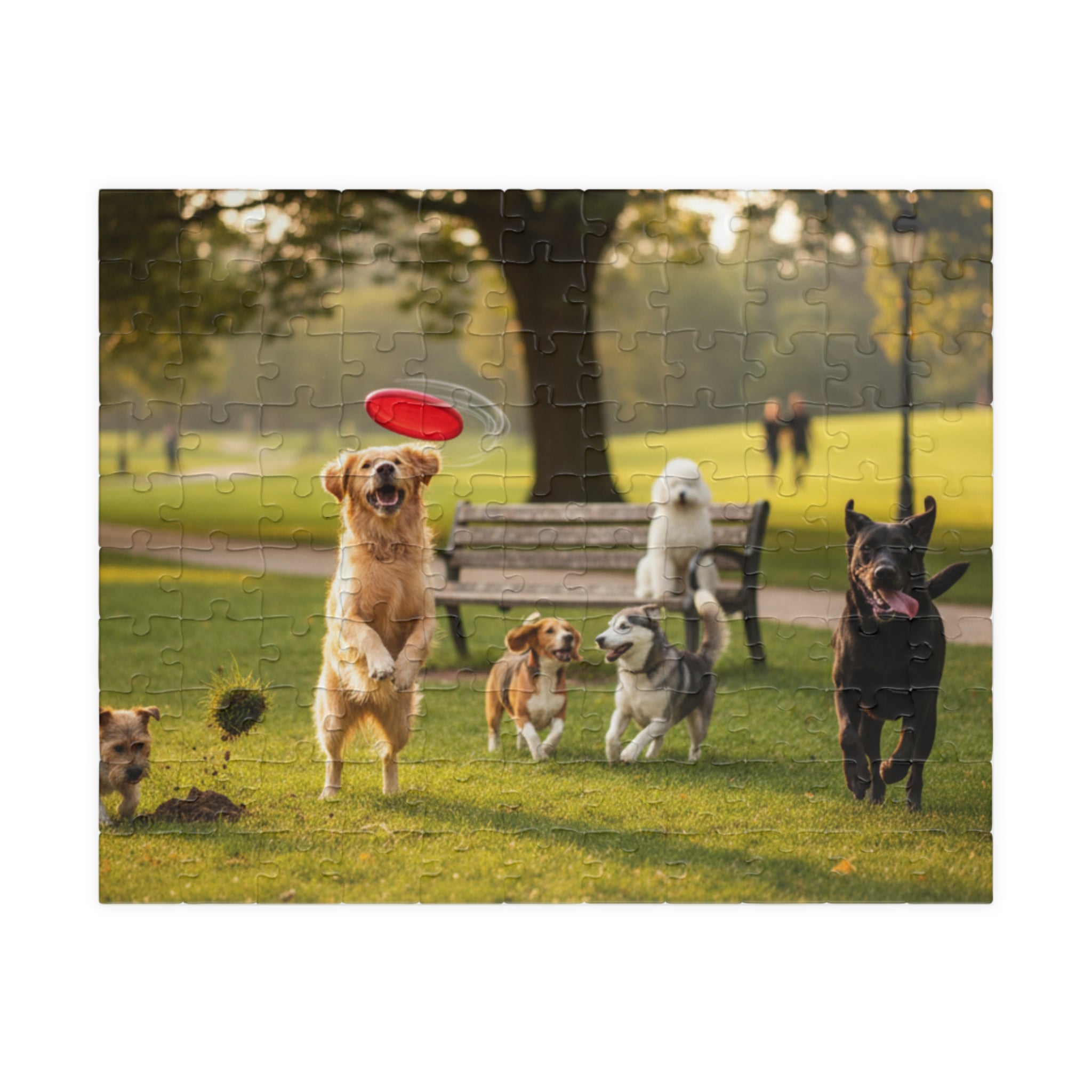 Dog Park Frisbee Puzzle — Family-Friendly Jigsaw
