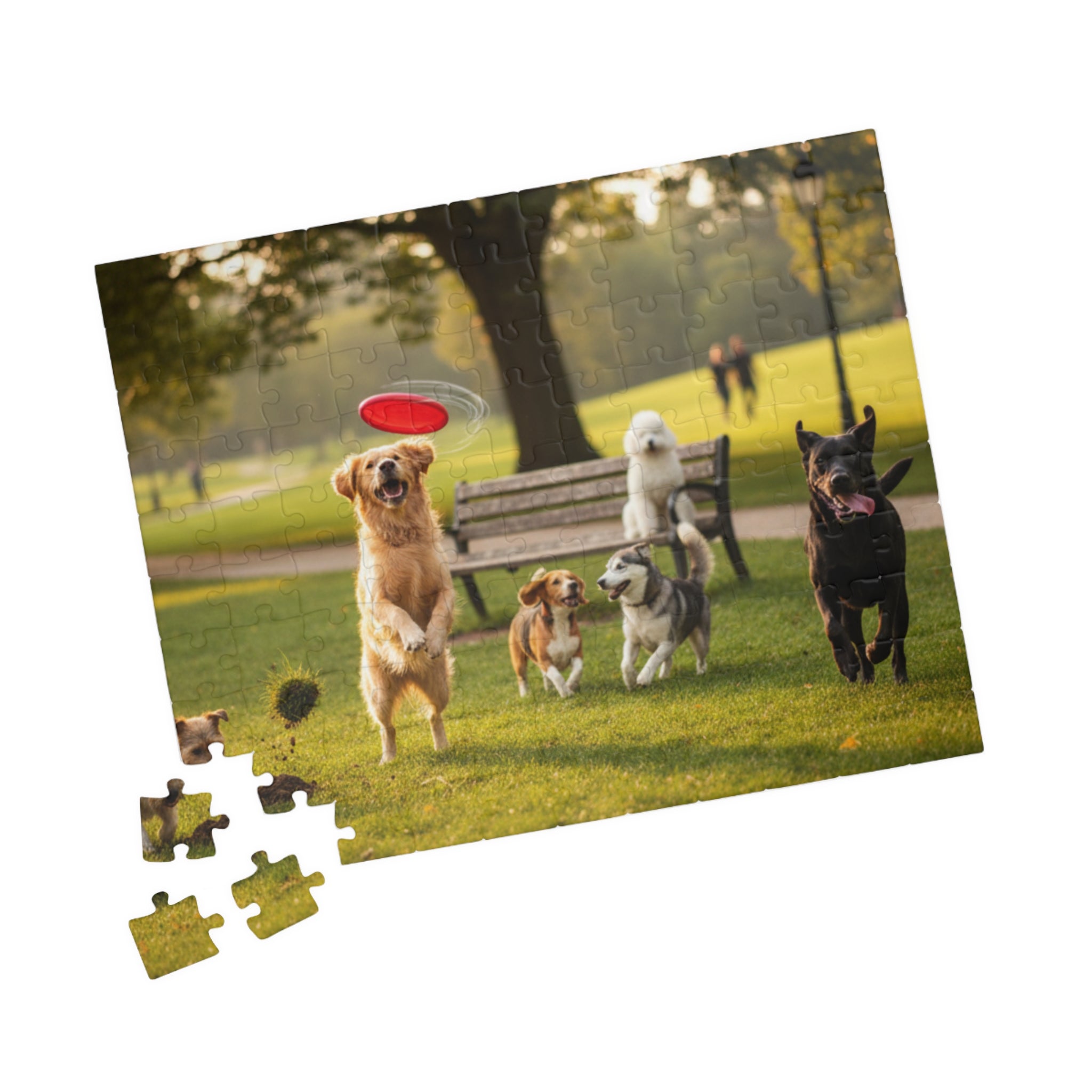 Dog Park Frisbee Puzzle — Family-Friendly Jigsaw