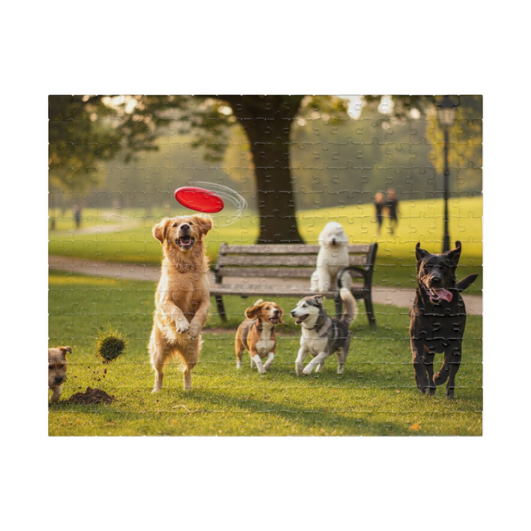Dog Park Frisbee Puzzle — Family-Friendly Jigsaw