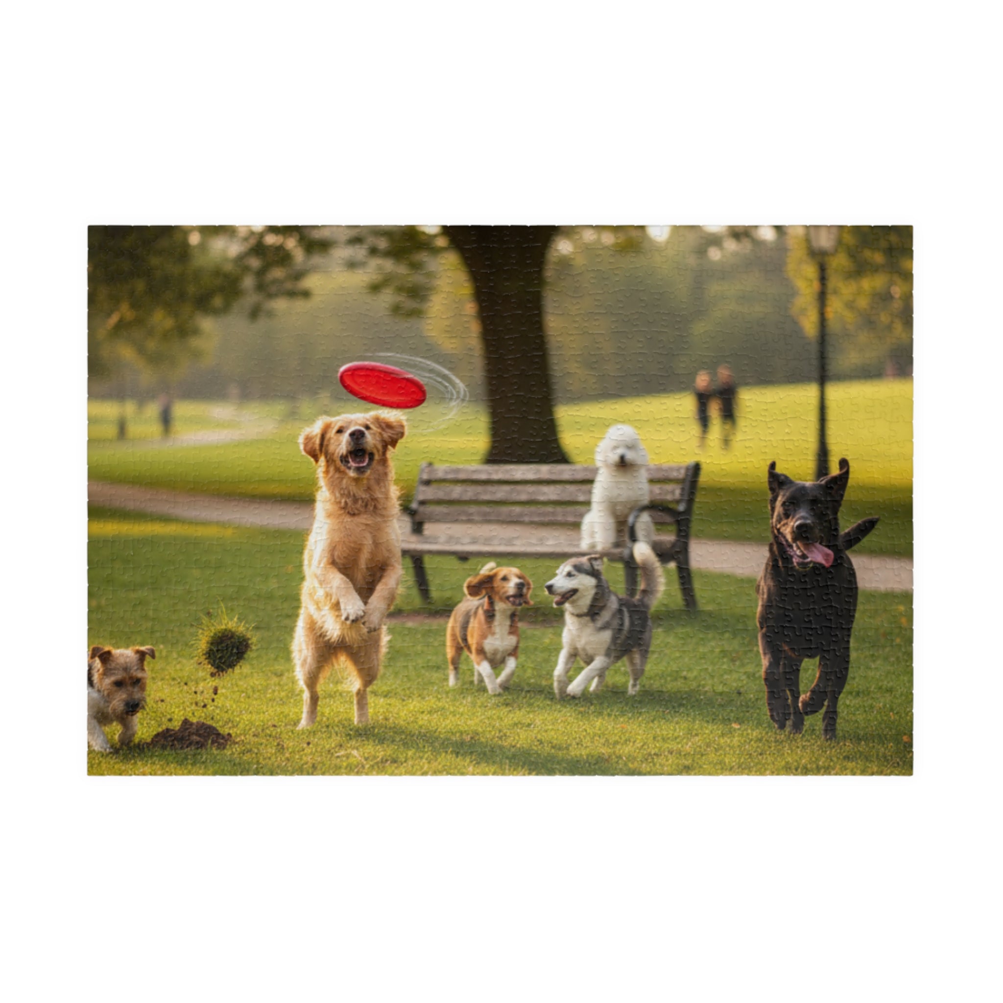 Dog Park Frisbee Puzzle — Family-Friendly Jigsaw