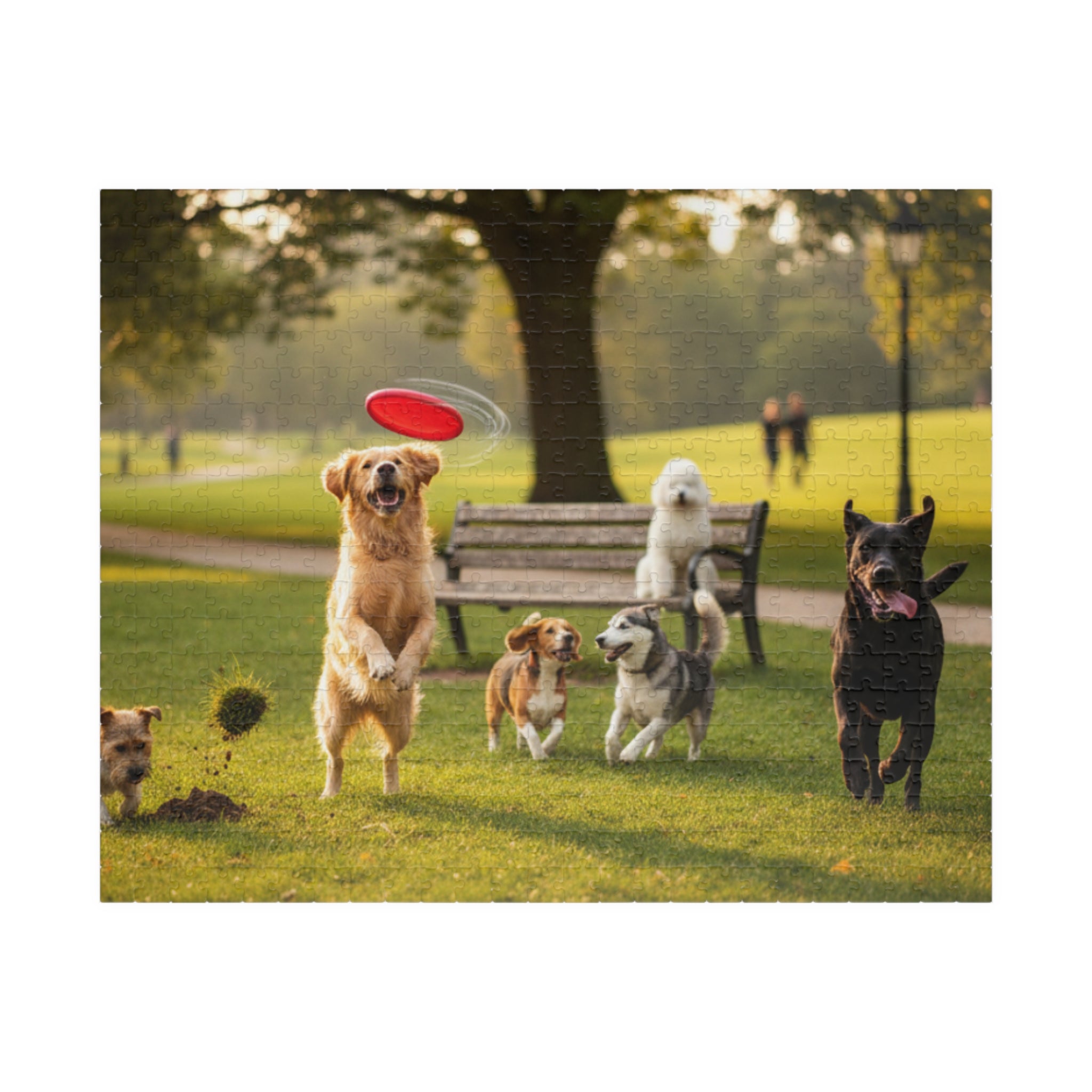 Dog Park Frisbee Puzzle — Family-Friendly Jigsaw