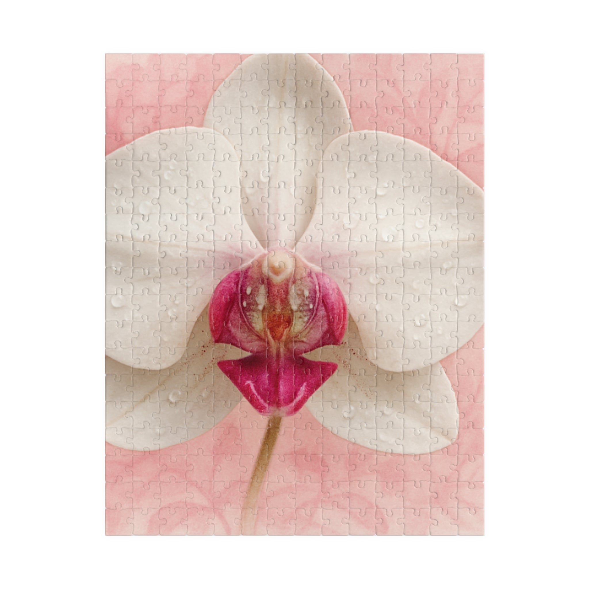 Orchid Blossom in Pink Jigsaw Puzzle —
